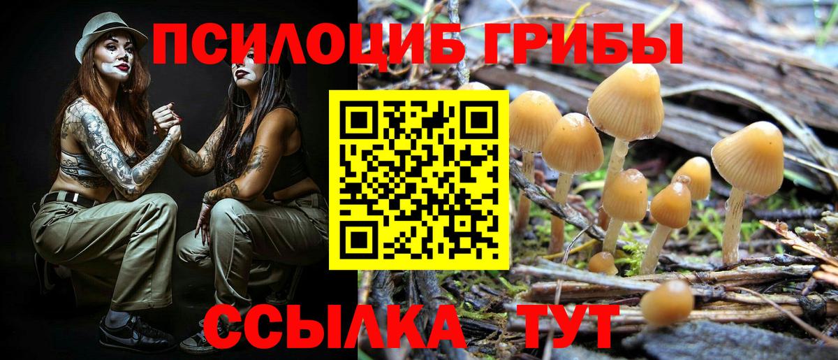 Галлюциногенные грибы Cubensis Анапа